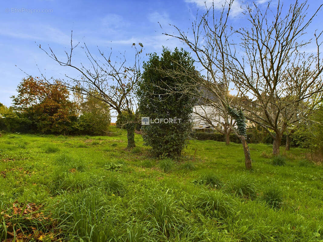 Terrain à PLOMODIERN