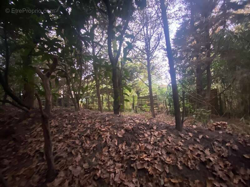 Terrain à SAINT-PIERRE-DU-MONT