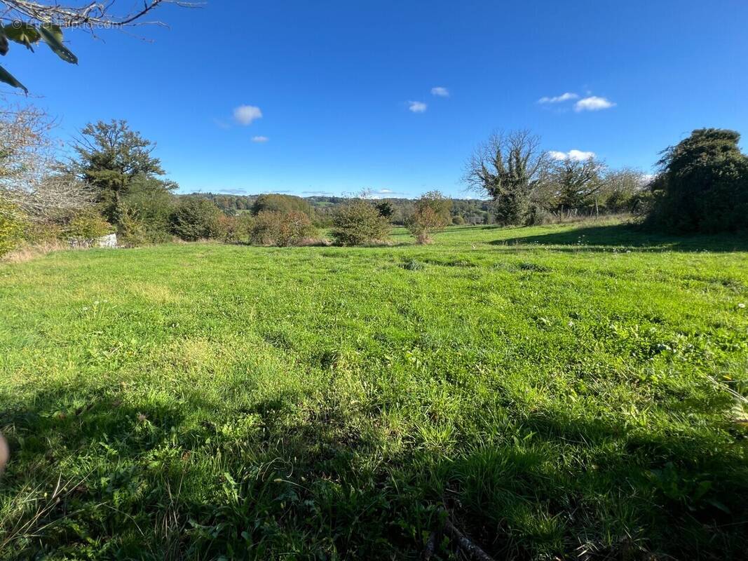 Terrain à SAINT-GERMAIN-LES-VERGNES