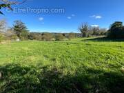 Terrain à SAINT-GERMAIN-LES-VERGNES