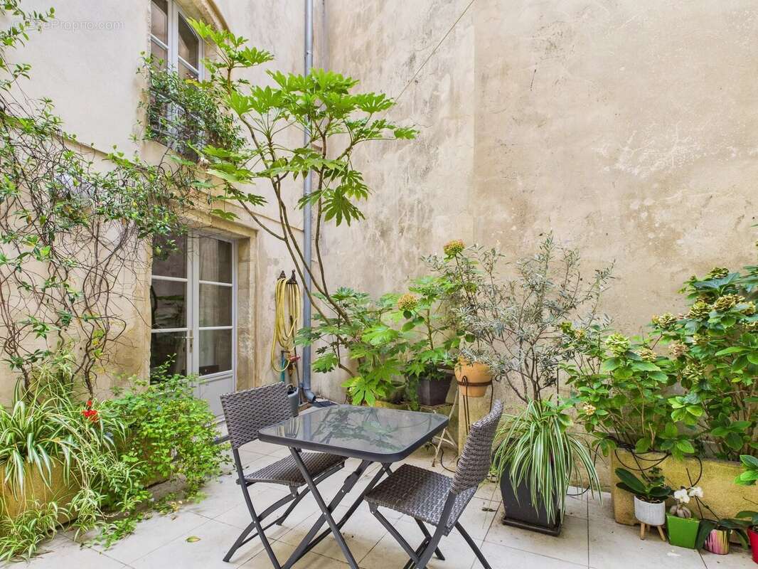 Appartement à MONSEGUR