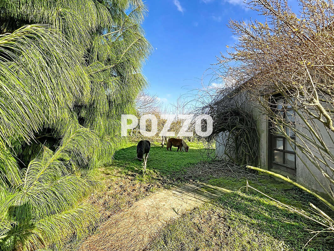 Maison à BLOSSEVILLE