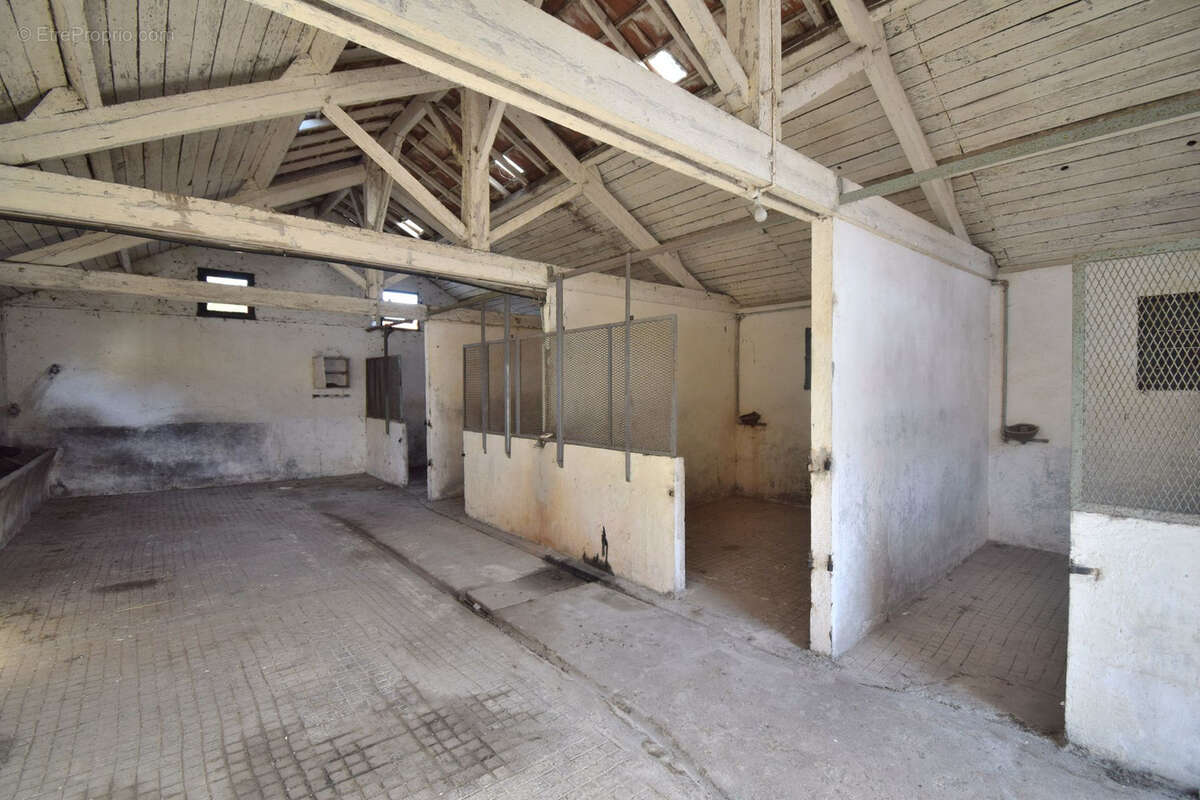 Maison à SAINT-PHILBERT-DE-BOUAINE