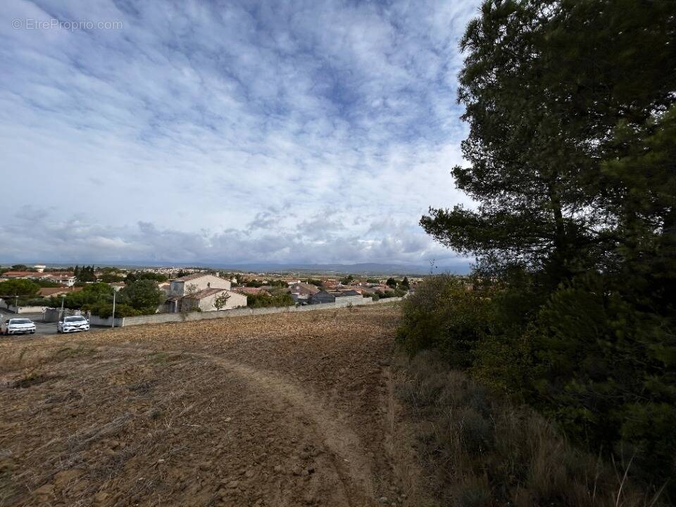 Terrain à VILLALIER