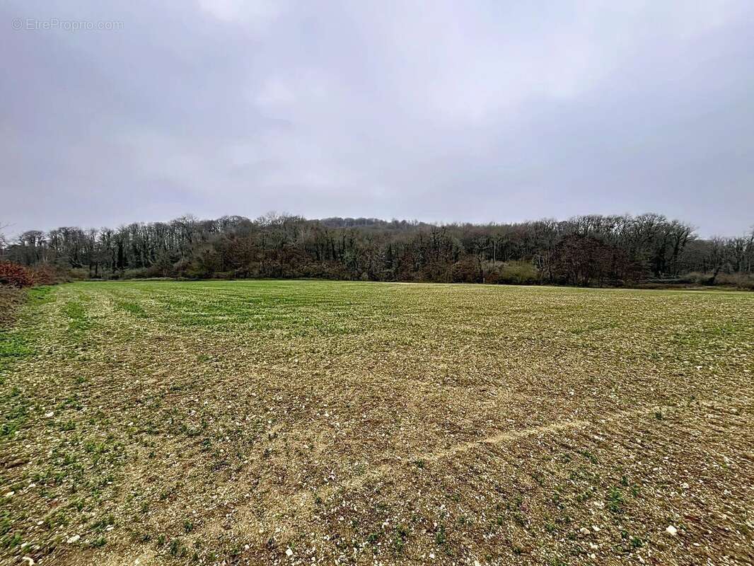 Terrain à FESTIEUX