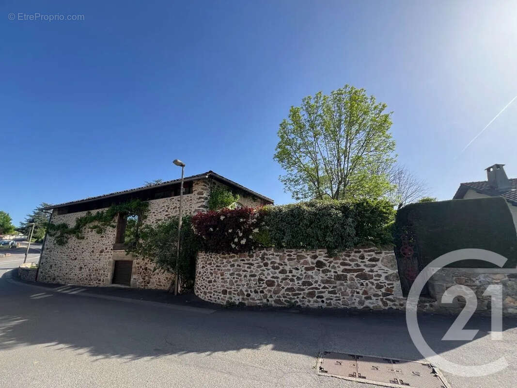 Maison 267 m² à Saint-Etienne-De-Maurs  - photo 4