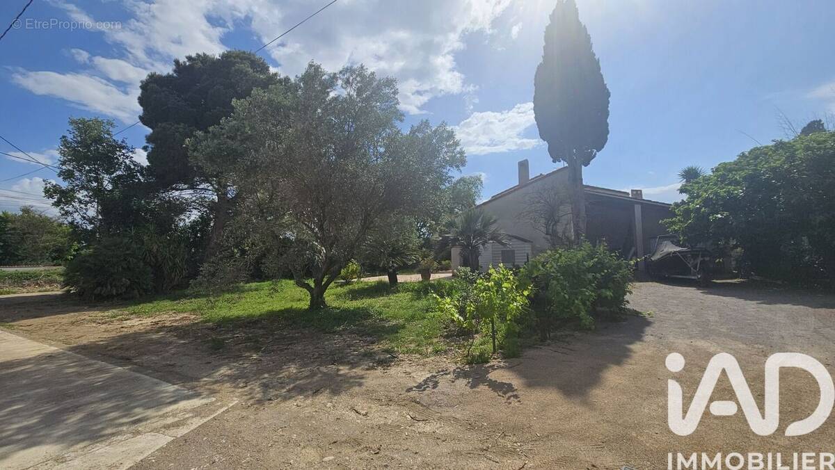 Photo 1 - Maison à MILLAS