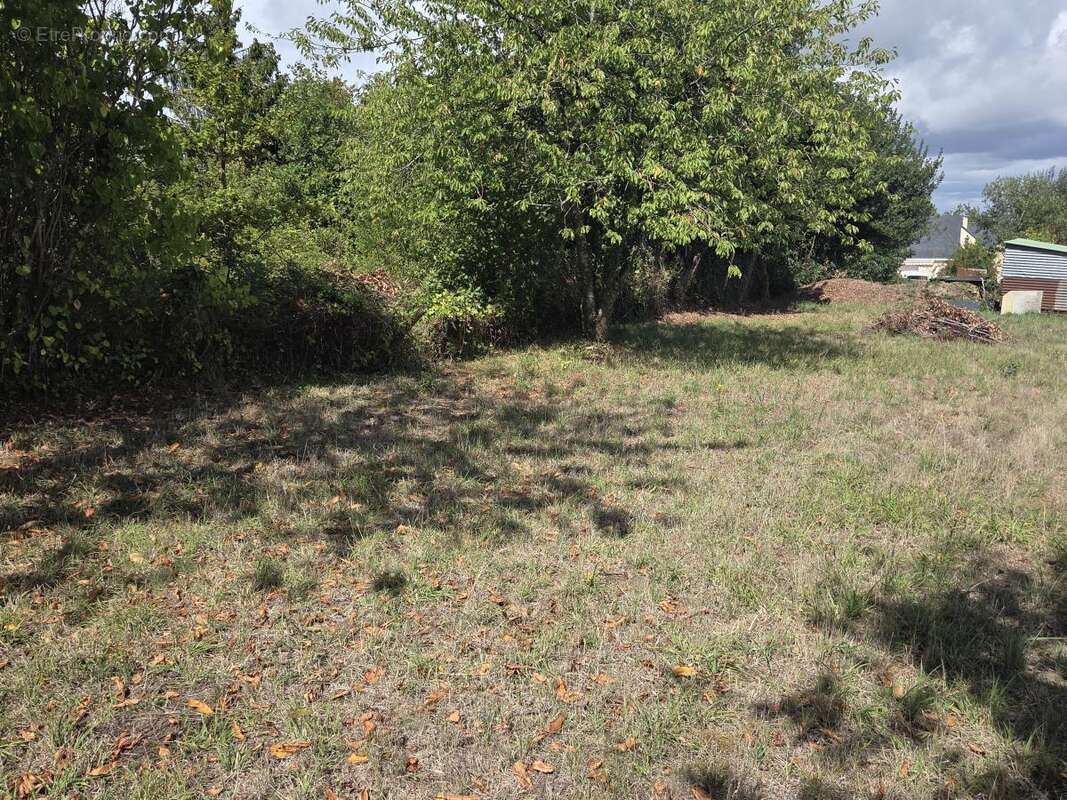 Terrain à GREZ-EN-BOUERE