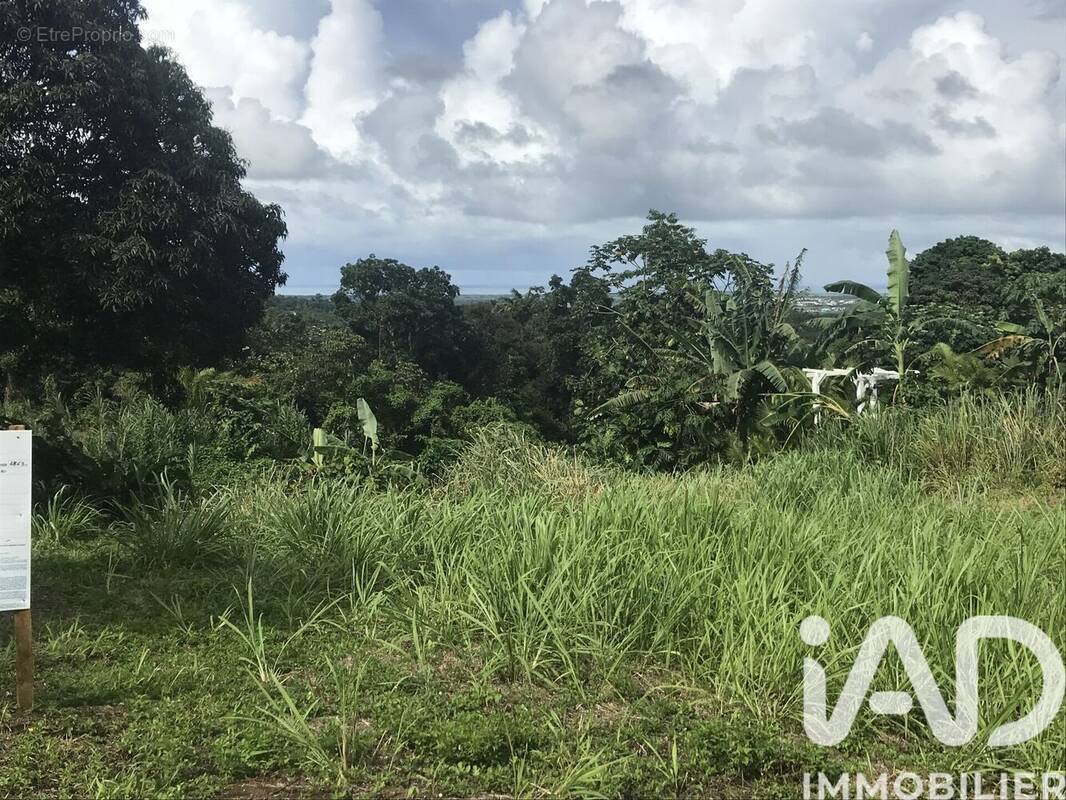 Photo 1 - Terrain à SAINTE-ROSE