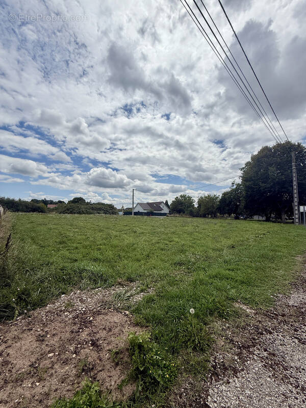 Terrain à FRESNE-SAINT-MAMES