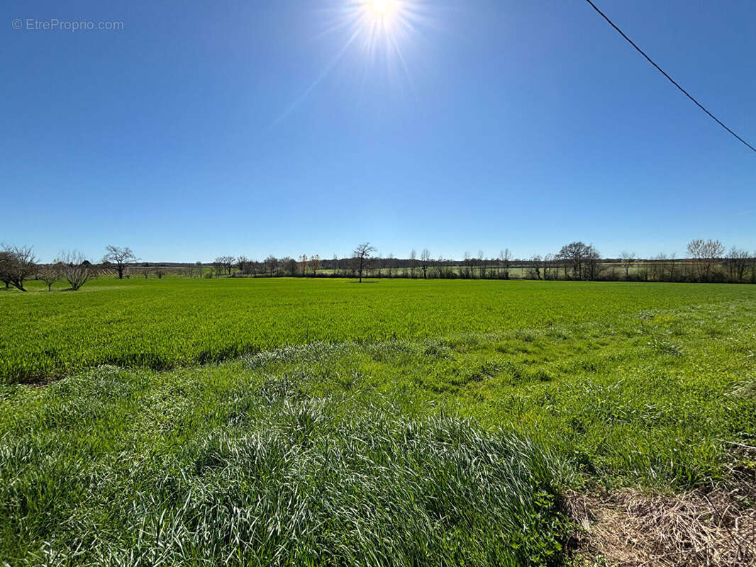 Maison à MONTREUIL-BELLAY