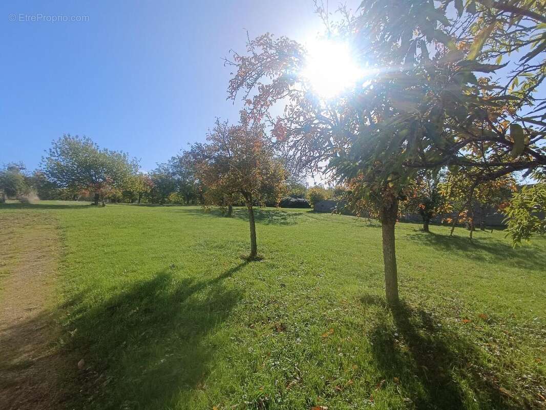 Photo 8 - Maison à MYENNES