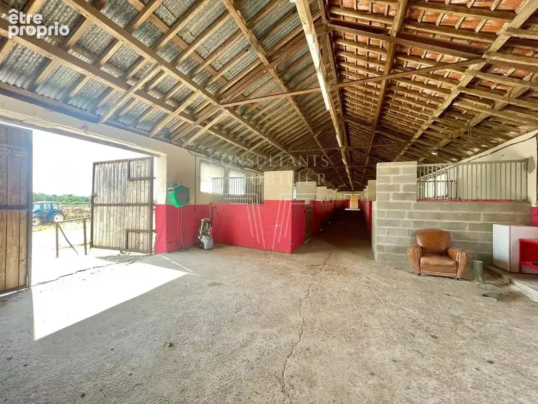 A 8 min de lisieux - haras de 11 ha - photo 19