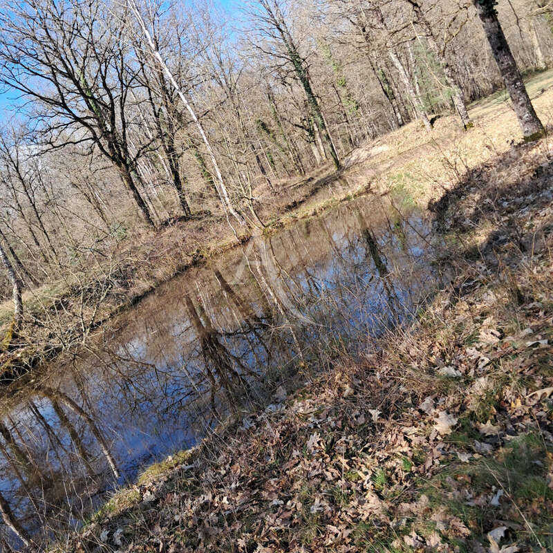 Propriété / 7 ha / plan d'eau/ dépendances - photo 13