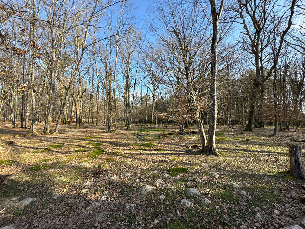 Maison à SULLY-LA-CHAPELLE