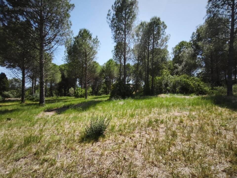 Terrain à ROQUEBRUNE-SUR-ARGENS