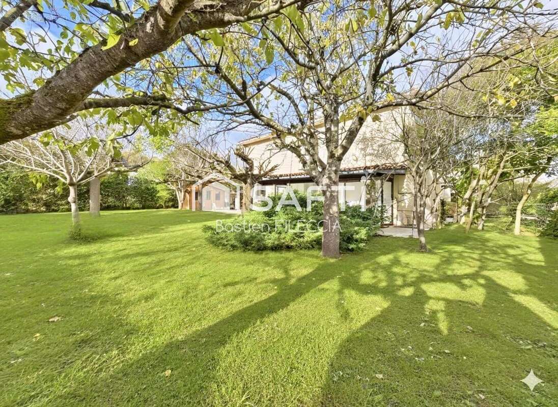 Photo 4 - Maison à VILLENEUVE-TOLOSANE