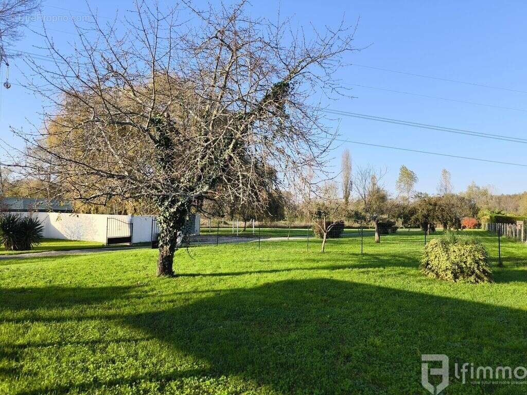 Maison à SAINT-ANDRE-DE-CUBZAC