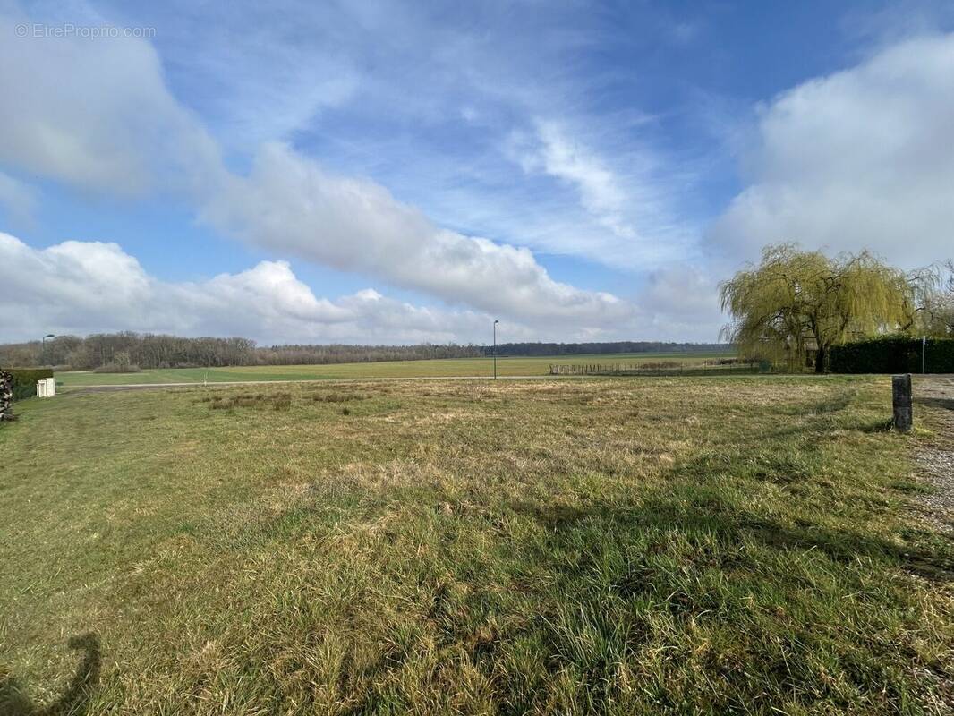 Terrain à BUCEY-LES-GY
