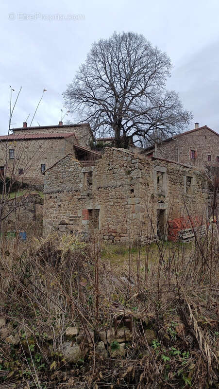 Terrain 1100 m2 Usson-en-Forez - photo 3