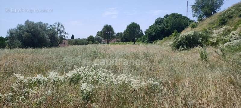 Terrain à vendre SERNHAC (30) - photo 2