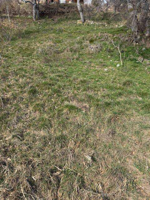 Terrain à PUY-SANIERES