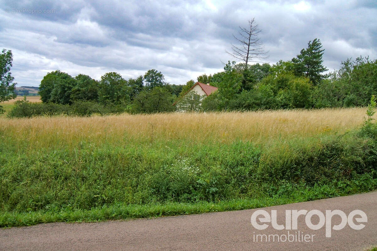 Terrain 2880 m² à Provency  - photo 4