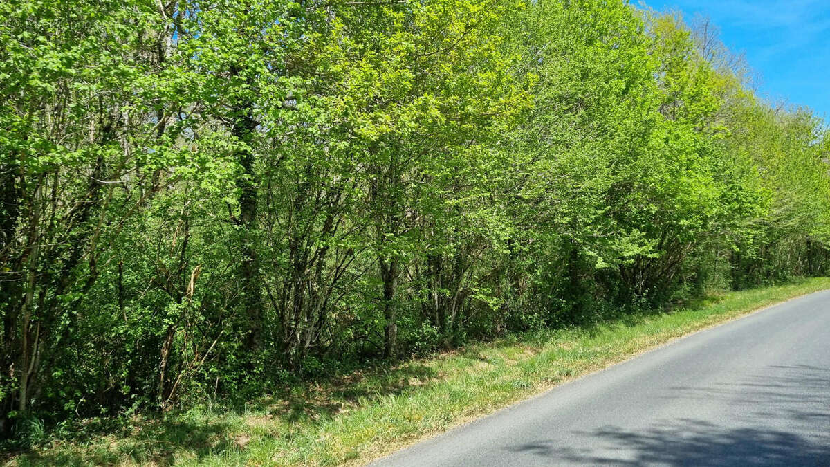 20250411_141109 - Terrain à SAINT-MARTIAL-DE-VALETTE