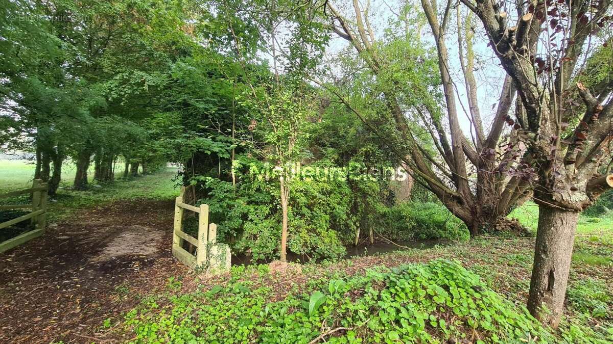 Terrain à MEZIDON-CANON