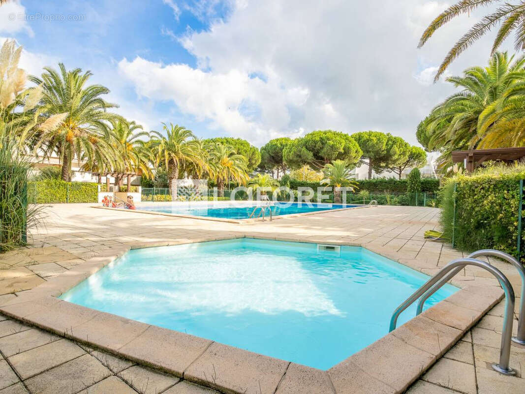 À la grande-motte couchant -t3 rénové avec terrasse 30 m² plein sud, piscine et garage - photo 2