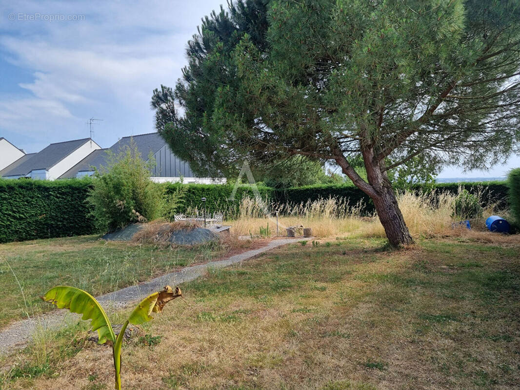 Terrain à CHAMPTOCE-SUR-LOIRE