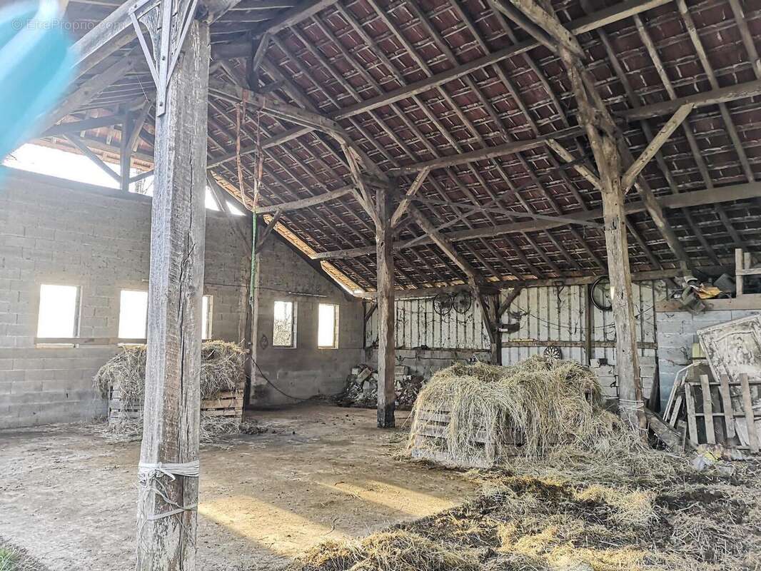 Propriété à vendre proche de Marciac: Maison 4 chambres, à finir de rénover. Cachée et isolée, on y accède par un long chemin. T - photo 4