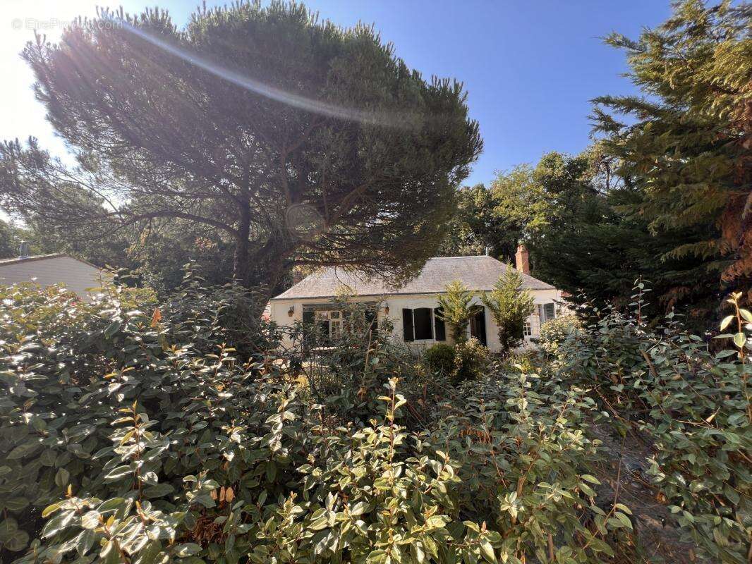 Maison à LONGEVILLE-SUR-MER
