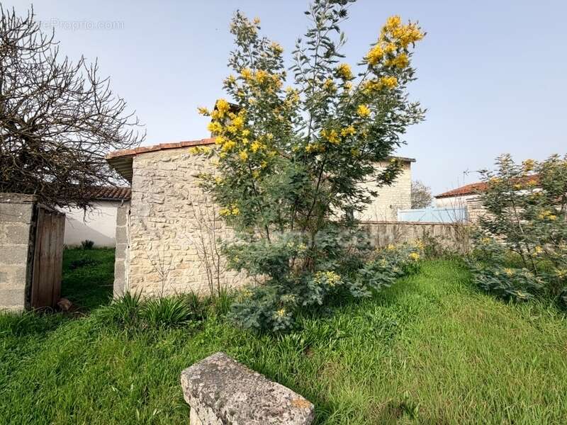 Maison à SAINTE-MARIE-DE-RE