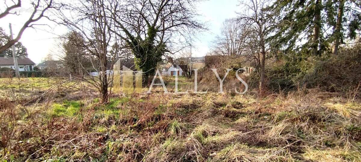 Terrain à TRIE-CHATEAU