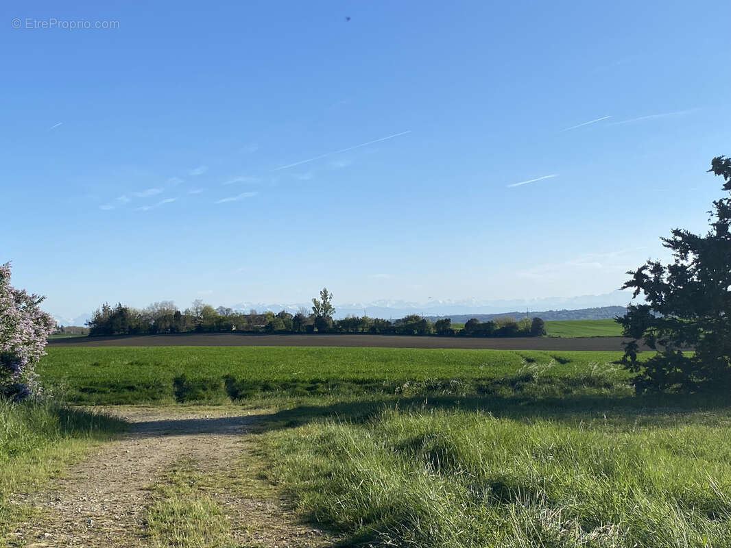 Corps de ferme avec dépendances et vue Pyrénées - photo 6