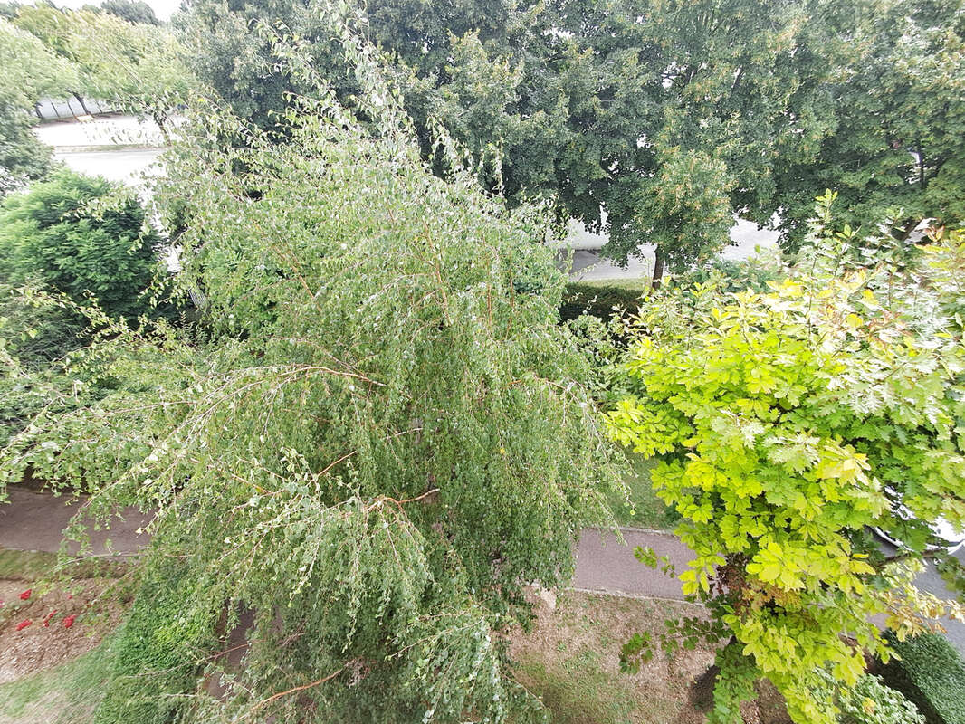 Appartement à CHEVILLY-LARUE