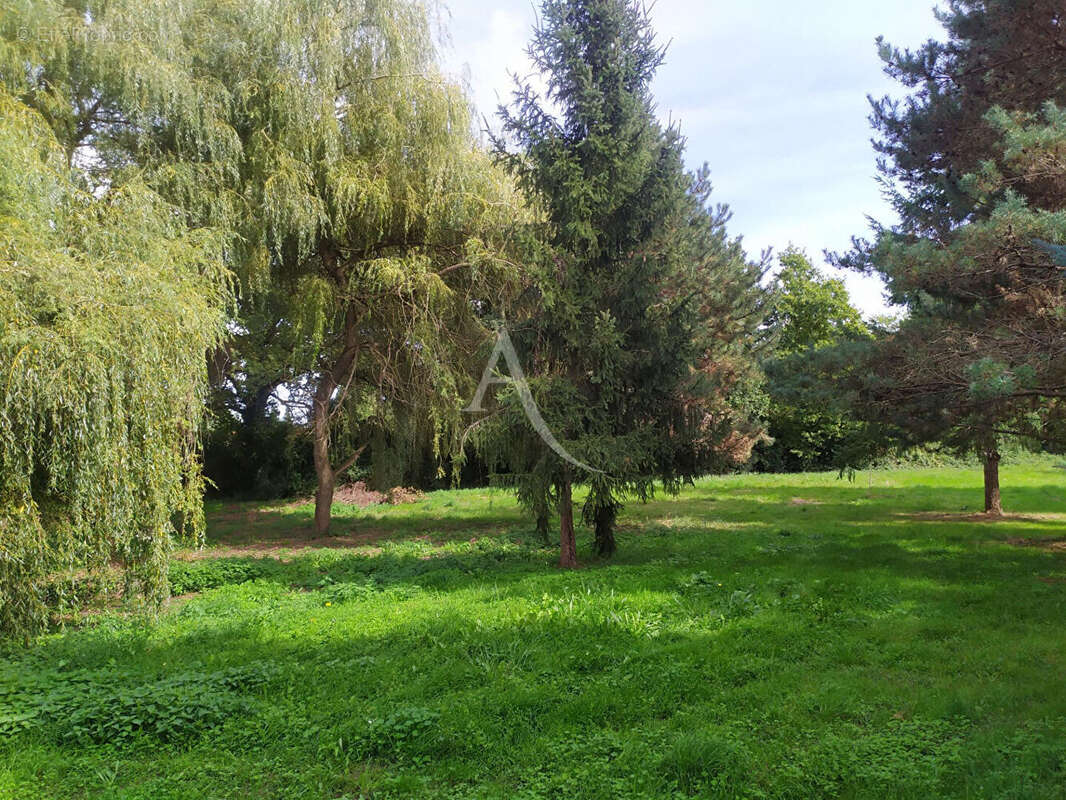 Maison à VIENNE-EN-VAL