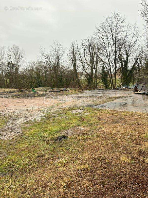 Tènement immobilier avec fort potentiel – 2 maisons + Dépendances – Terrain 3 500 m² – Bord de canal - photo 3