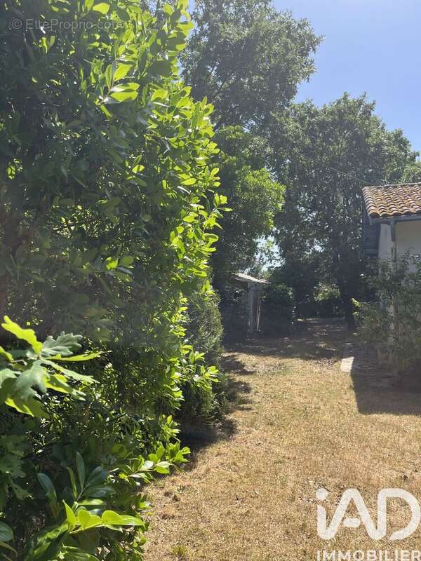 Photo 3 - Maison à ANDERNOS-LES-BAINS