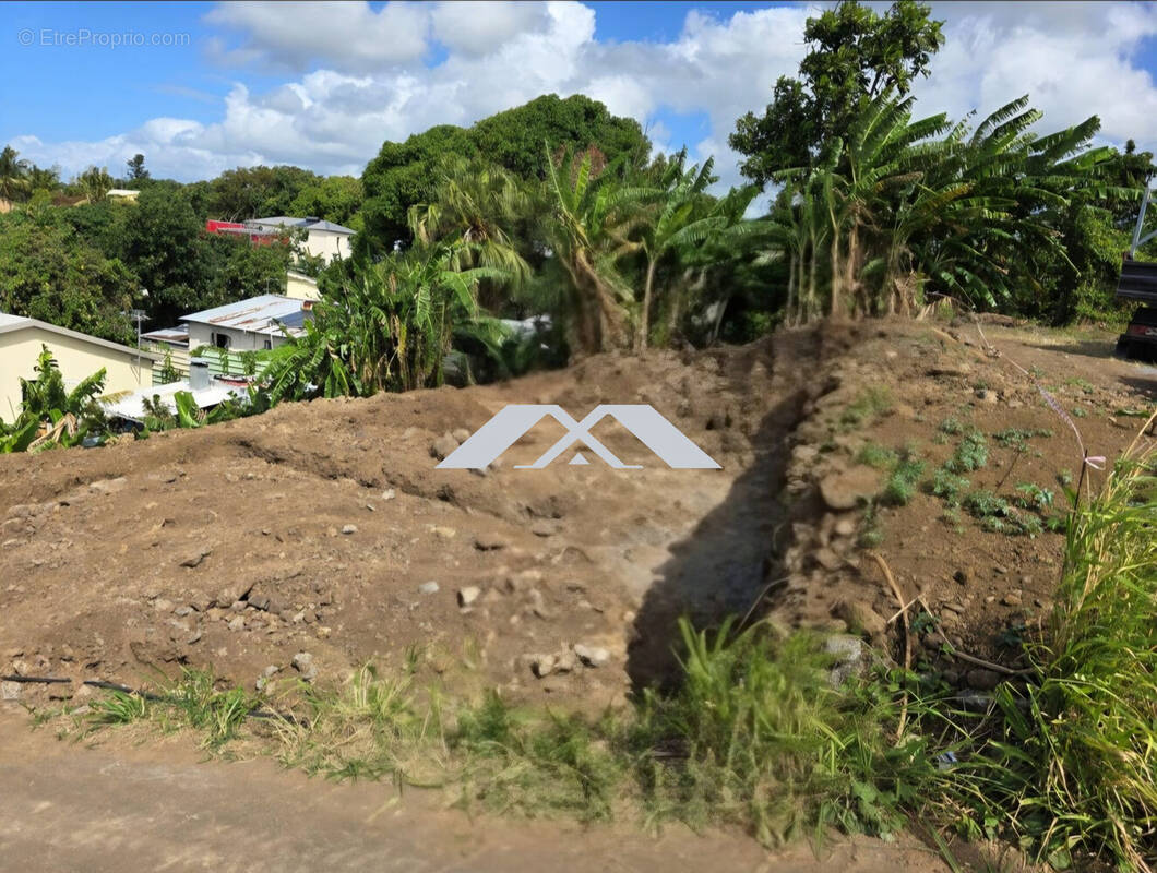 Terrain à SAINTE-SUZANNE