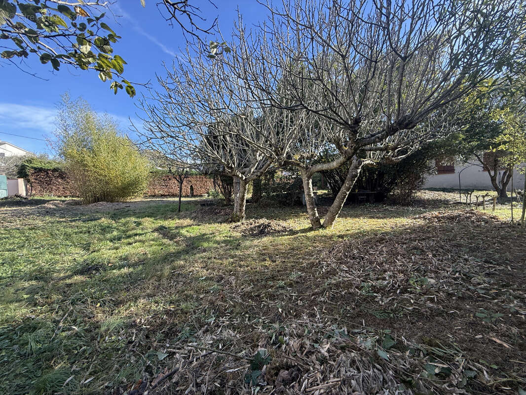 Terrain à SAINT-JEAN