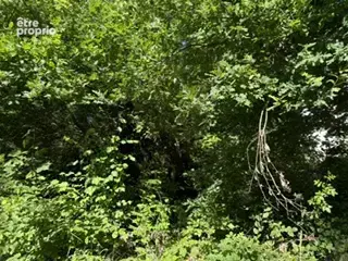 Maison plain-pied 4p avec 25.48 ares en bord de forêt à rénover - photo 23