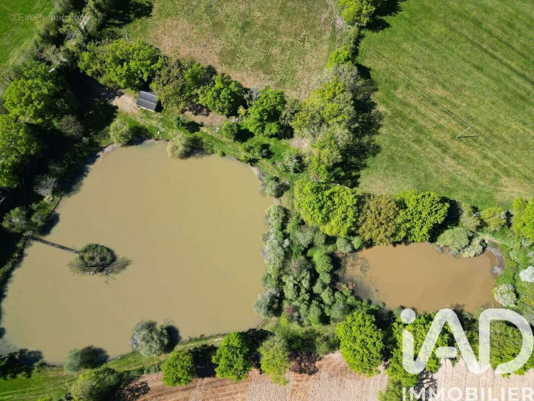 Terrain 20970 m² à Availles-Limouzine  - photo 2