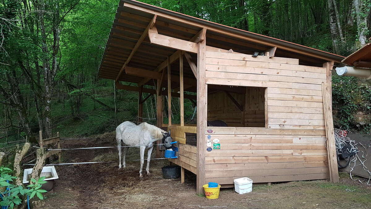 Boxs à chevaux - Maison à LES EYZIES-DE-TAYAC-SIREUIL