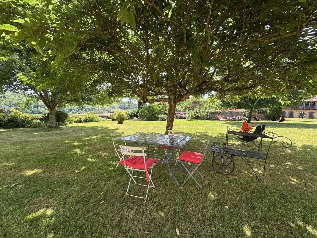 Maison 398 m² à Riscle  - photo 6