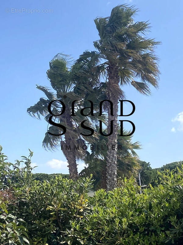 Appartement à LE GRAU-DU-ROI