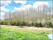 Photo 1 - Terrain à PRATS-DE-CARLUX