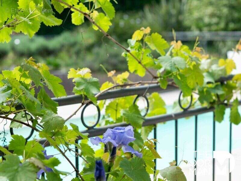 Maison à TREILLIERES