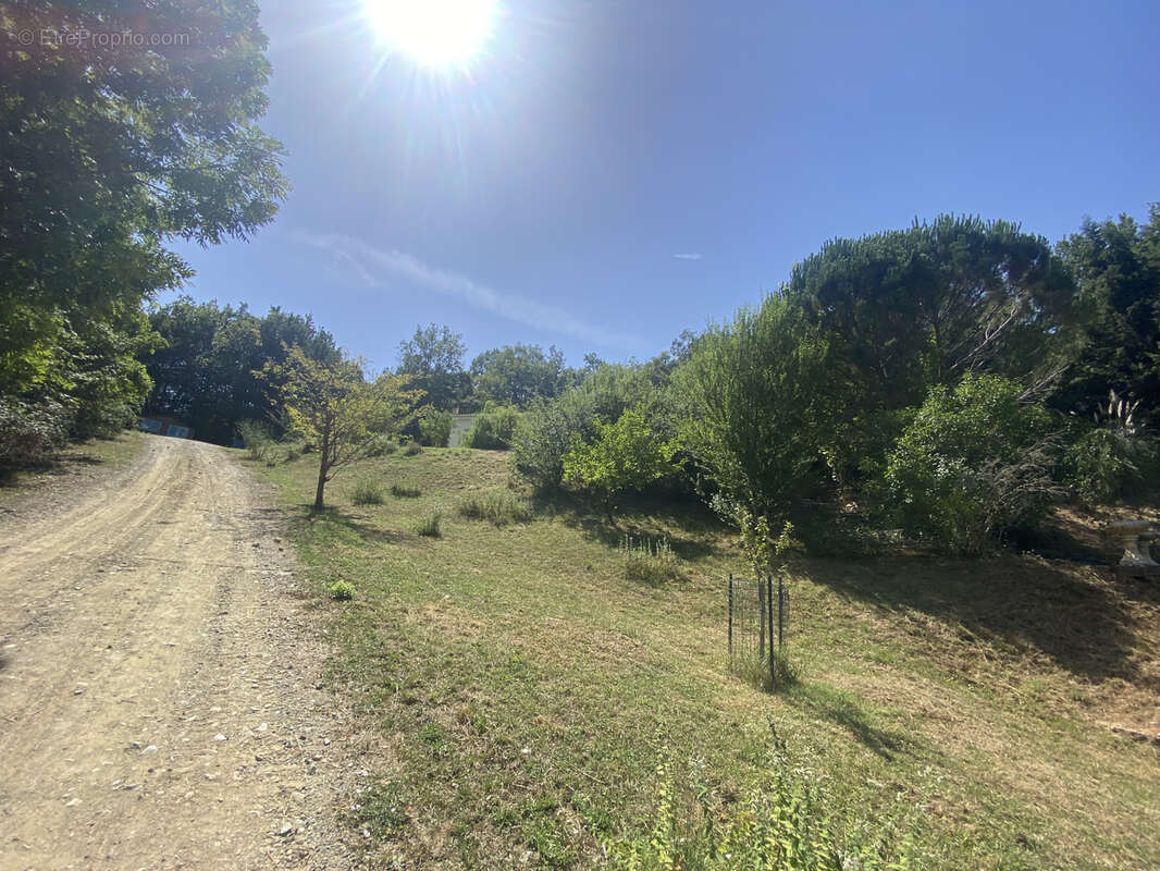 A 15 kms de limoux - villa avec piscine 174 m2 sur 5730 m2 , - photo 18